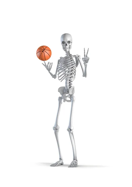 バスケットボール選手の骨格 白いスタジオの背景に孤立した勝利の手のサインを示すバスケットボールと男性の人間の骨格図の3Dイラスト — ストック写真