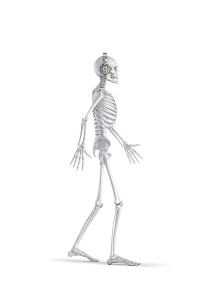 Headphone Skeleton Illustration Male Human Skeleton Figure Walking Wearing Stereo — Stock Photo, Image