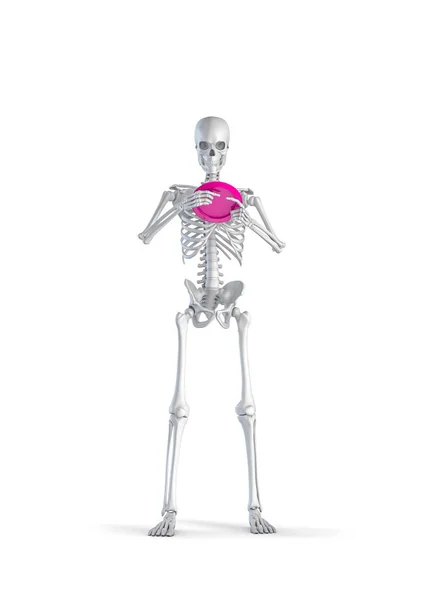 Disc Golf Skeleton Illustration Male Human Skeleton Figure Holding Frisbee — Stock Photo, Image