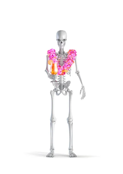 Tropical Holiday Skeleton Illustration Male Human Skeleton Figure Vacation Fruit — Stock Photo, Image