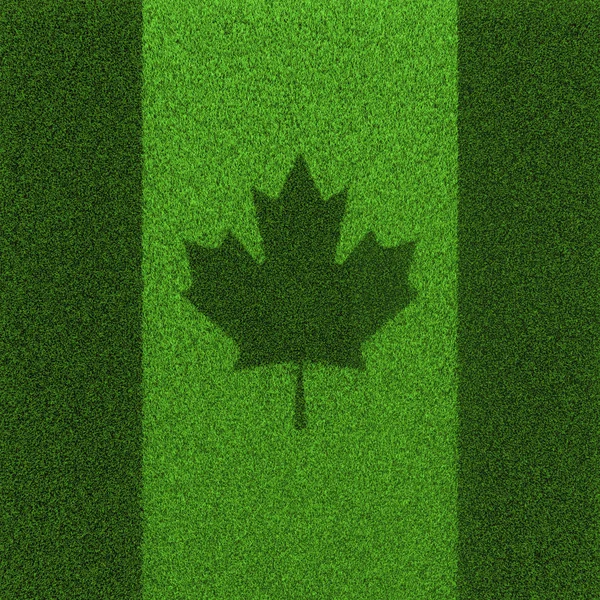 Grass flag Canada — Stock Photo, Image