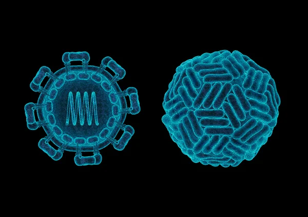 Concepto de estructura del virus Zika — Foto de Stock