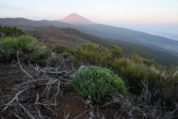 日の出に緑の植生と曇り空の山の風景 — ストック写真