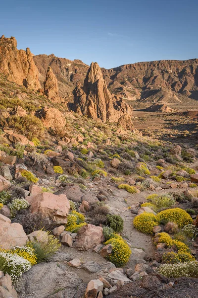 Bela Vista Deserto Montanhas Rochosas Fotos De Bancos De Imagens Sem Royalties