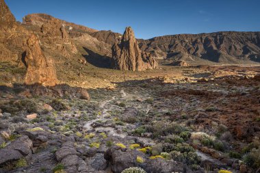 Vadinin güzel manzarası ve arka planda kayalık dağlar