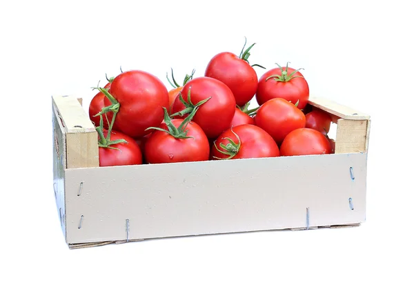 Cosecha de tomates rojos maduros en caja de madera aislada —  Fotos de Stock