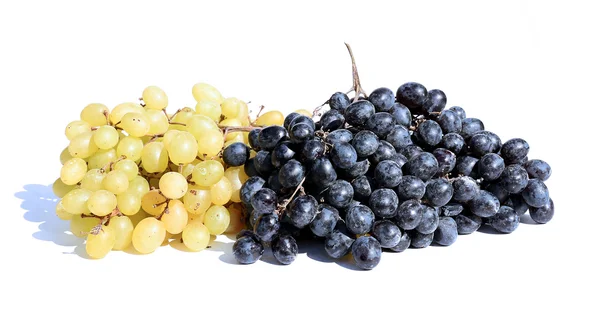 Bunch of grapes — Stock Photo, Image