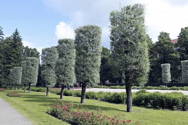 Formade trimning till formuläret willow park — Stockfoto