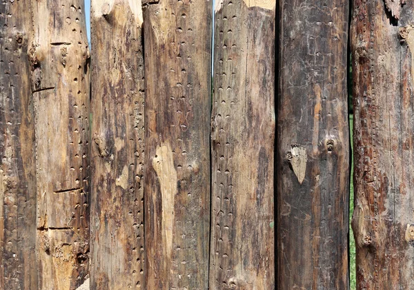 Background of rude logs stockade — Stock Photo, Image