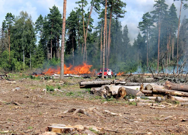 Forest fires in Russia near Moscow