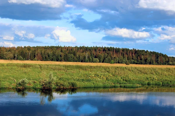 Paysage sur les rives de la rivière, champ avec herbe verte et — Photo