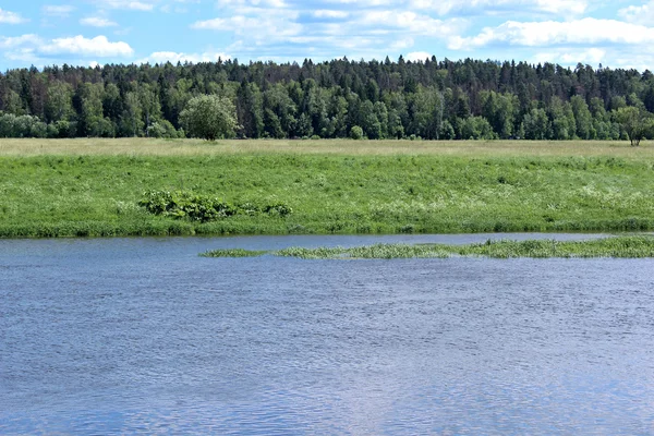 Krajobraz nad brzegiem rzeki, pola z zielonej trawy i — Zdjęcie stockowe