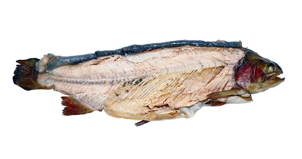 Hot smoked fish trout isolated — Stock Photo, Image