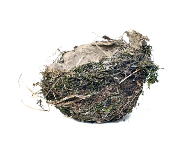Ptačí hnízdo trávy a větvičky, samostatný — Stock fotografie
