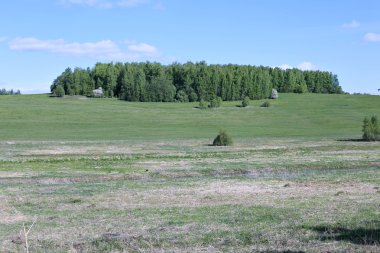 Peyzaj alanı yeşil çim ve orman