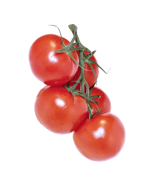 Kilka czerwone pomidory na kilka szypułki owoców na białym tle — Zdjęcie stockowe