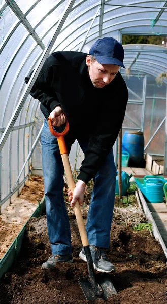 Hombre en invernadero cavando el suelo con una pala en el jardín Fotos De Stock