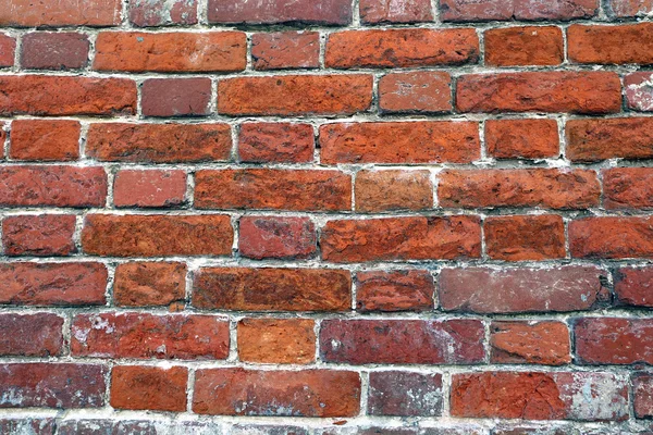 Textura de una pared de ladrillo — Foto de Stock