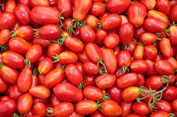 Contexto da pluralidade de tomates vermelhos ovais — Fotografia de Stock