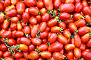 Background of the plurality of oval red tomatoes clipart