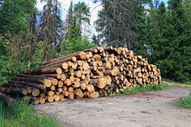 Logs in the logging