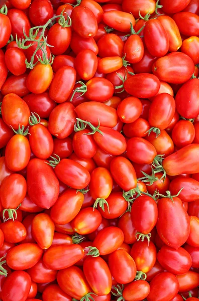 Background of the plurality of oval red tomatoes — Stock Photo, Image