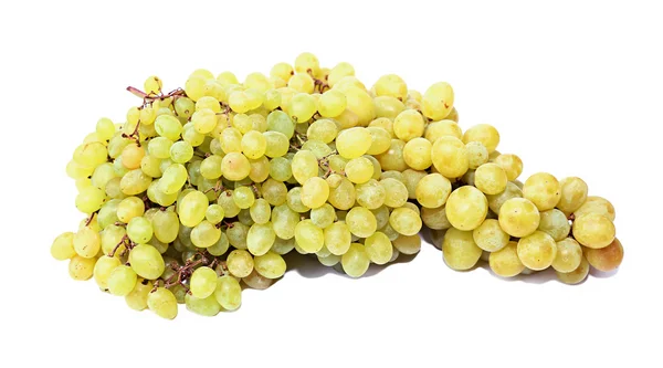 Bunch of grapes — Stock Photo, Image