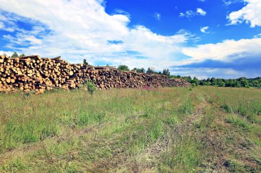 Logs in the logging