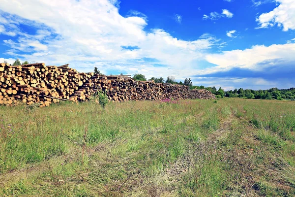 Logs in the logging — Stock Photo, Image
