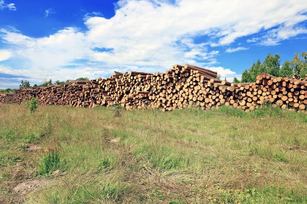 Logs in the logging — Stock Photo, Image