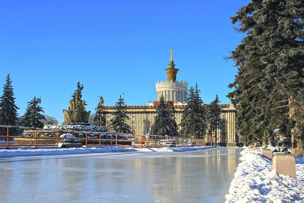 Skridskobana intill paviljongerna av ryska utställningen — Stockfoto