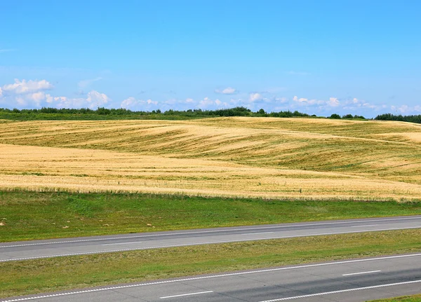 Landscape of wheat field and road — Stock Photo, Image