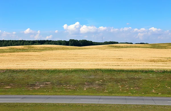 Landschaft aus Weizenfeld und Straße — Stockfoto