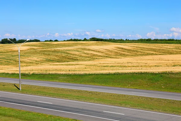 Paisaje de campo de trigo y carretera —  Fotos de Stock