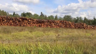 Logs in the logging