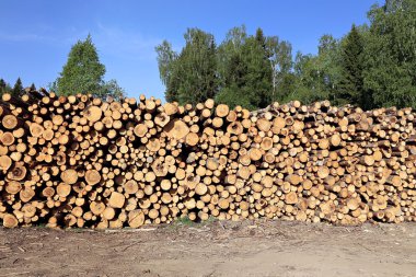 Logs in the logging