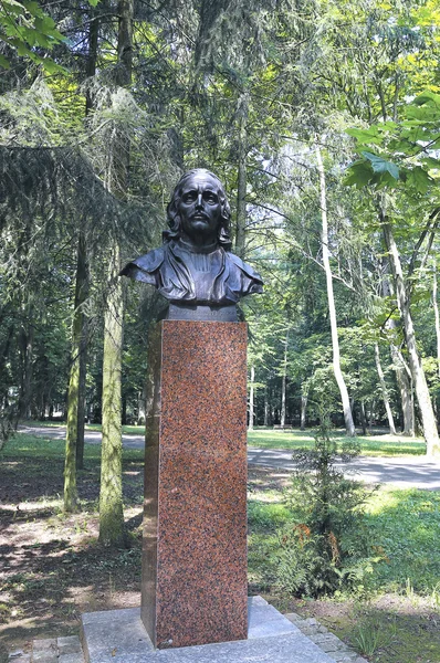 Busto de Yuri Nyasvizh — Foto de Stock