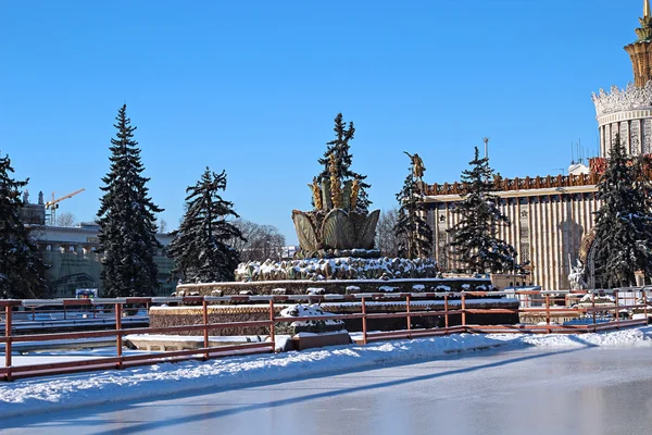 Pista de patinaje sobre hielo junto a los pabellones de la exposición rusa — Foto de Stock