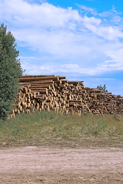 Logs no registro — Fotografia de Stock