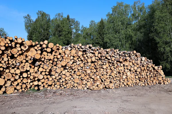 Oogsten hout logboeken — Stockfoto