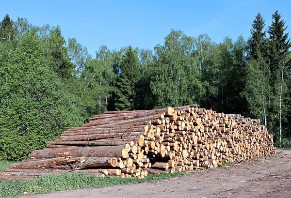 Oogsten hout logboeken — Stockfoto