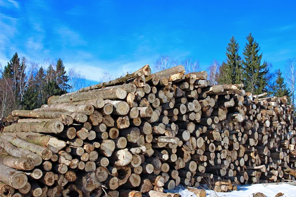 Pozyskiwanie drewna rejestruje w lesie w zimie — Zdjęcie stockowe