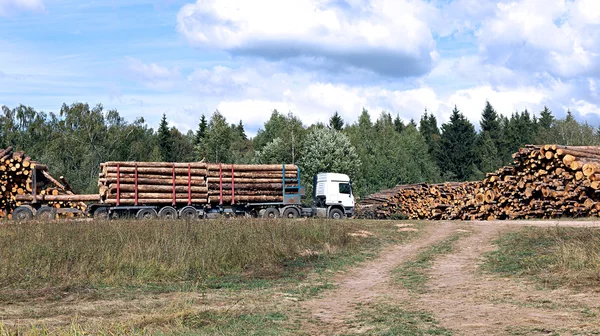 러시아에서 숲에서 로그 목재를 수확 — 스톡 사진