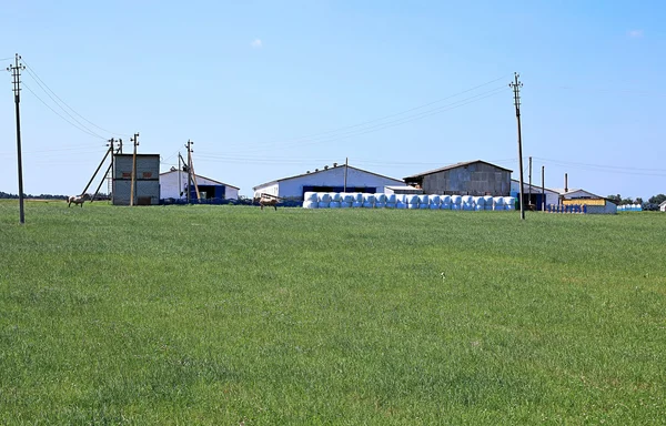 Colheita de feno em uma fazenda — Fotografia de Stock