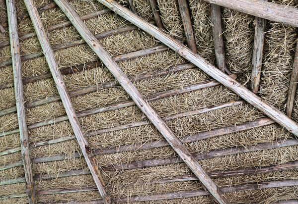 Background is the drying of hay on the roof of an old hut