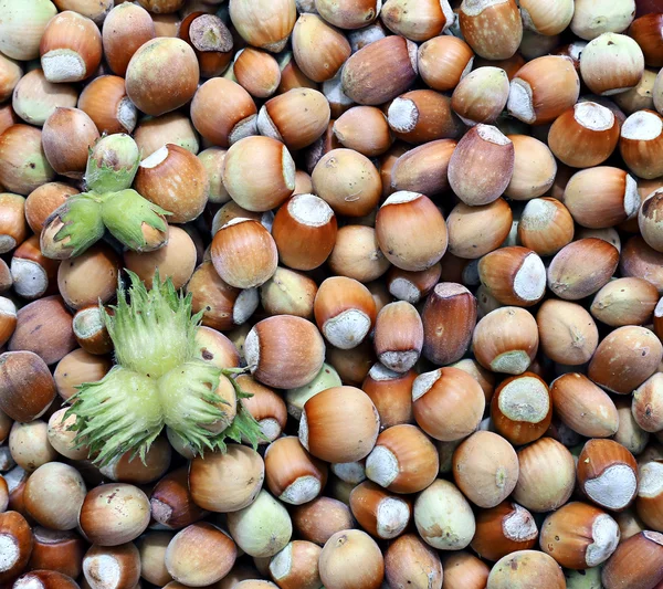 Background of the plurality of hazelnut — Stock Photo, Image