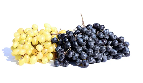 Bunch of grapes — Stock Photo, Image