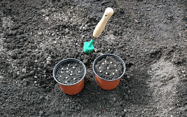 Horticulture accessories on the gardenbed — Stock Photo, Image