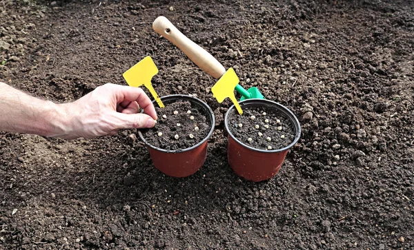 Ogrodnictwo akcesoria na gardenbed — Zdjęcie stockowe