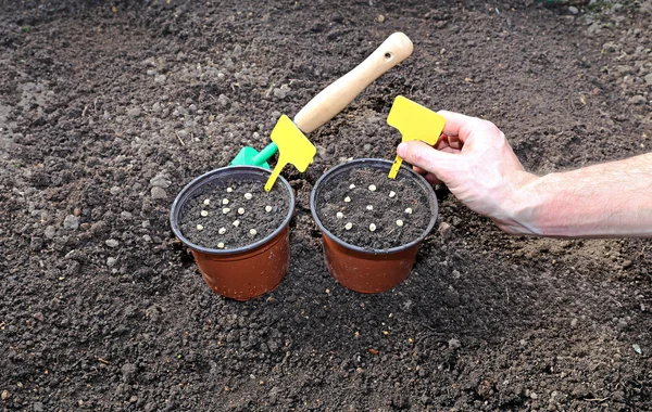 Ogrodnictwo akcesoria na gardenbed — Zdjęcie stockowe